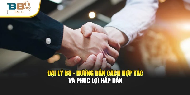 Đại Lý B8 - Hướng Dẫn Cách Hợp Tác Và Phúc Lợi Hấp Dẫn