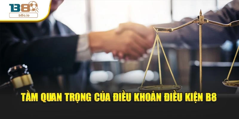Tầm quan trọng của điều khoản điều kiện B8